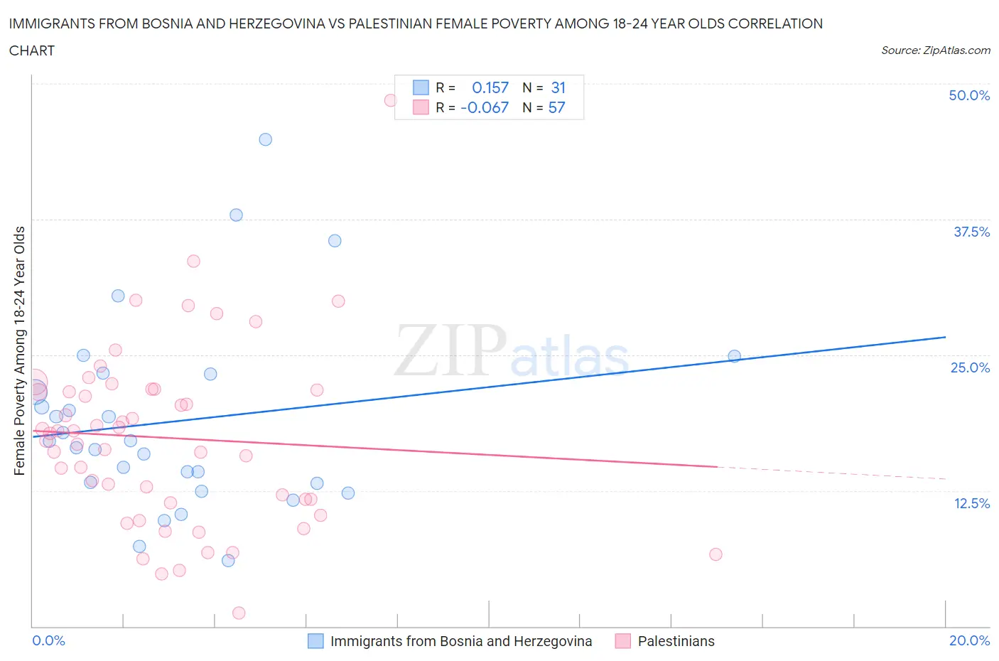 Immigrants from Bosnia and Herzegovina vs Palestinian Female Poverty Among 18-24 Year Olds