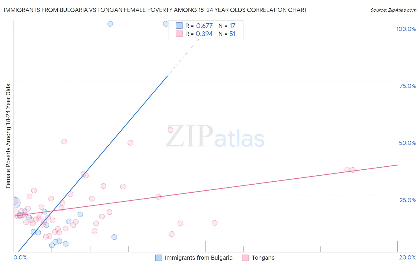 Immigrants from Bulgaria vs Tongan Female Poverty Among 18-24 Year Olds