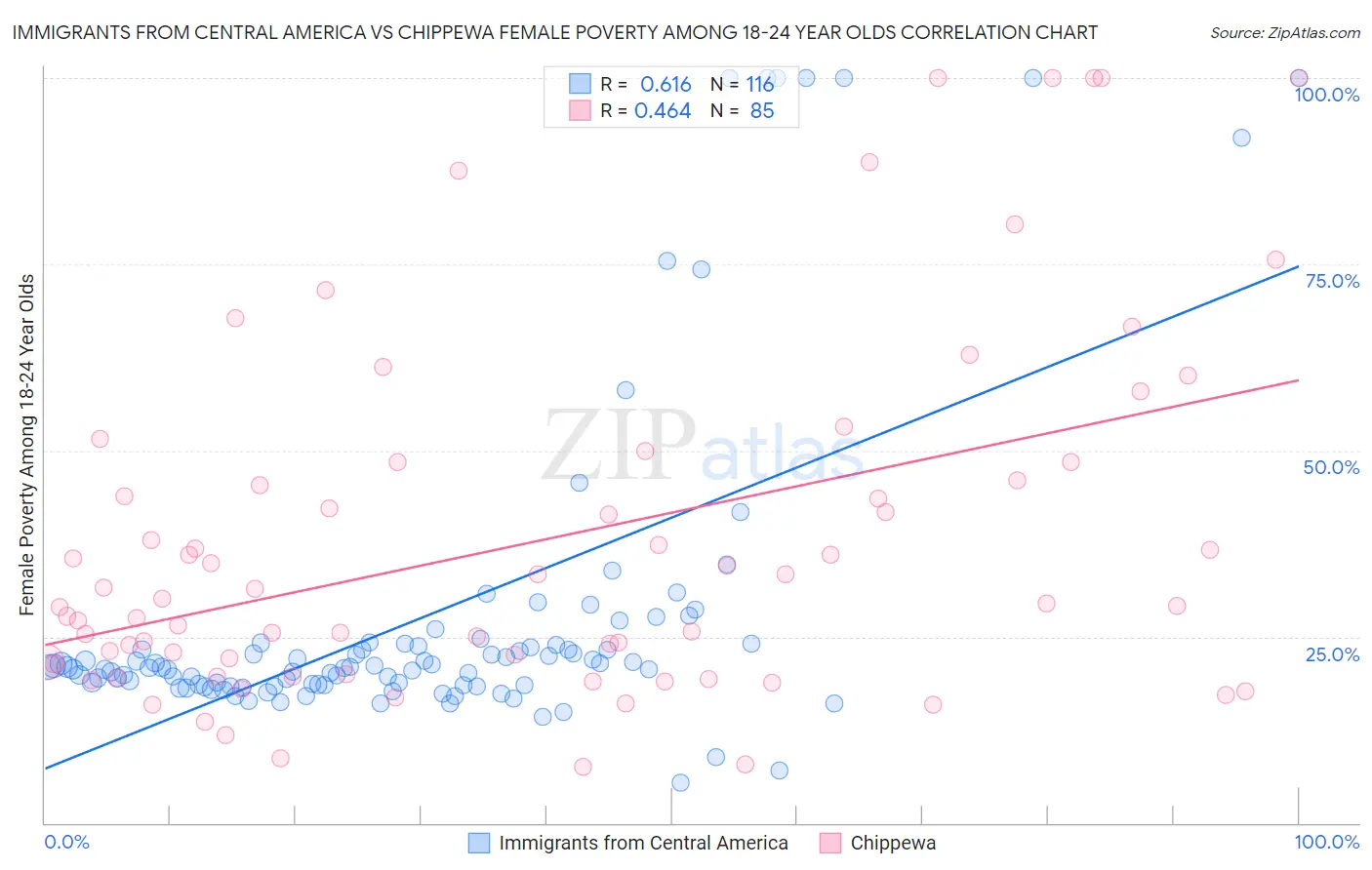 Immigrants from Central America vs Chippewa Female Poverty Among 18-24 Year Olds