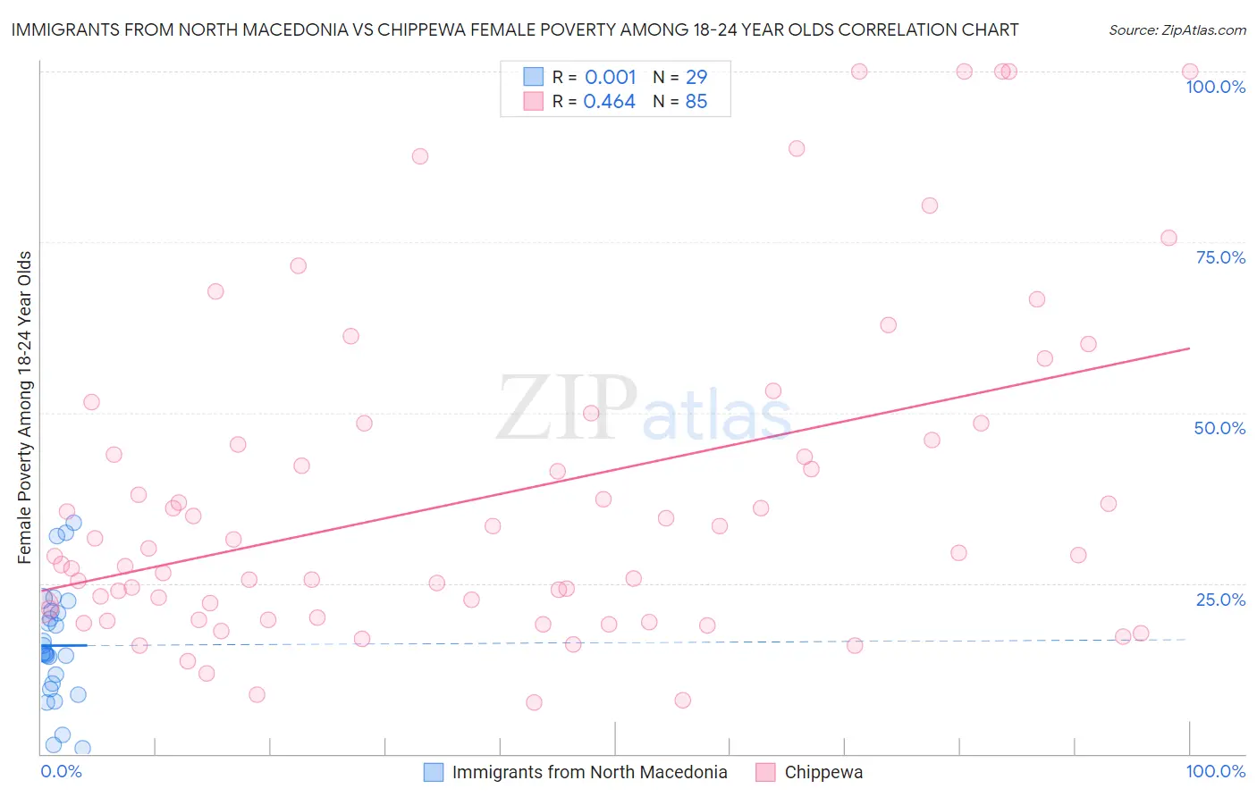 Immigrants from North Macedonia vs Chippewa Female Poverty Among 18-24 Year Olds
