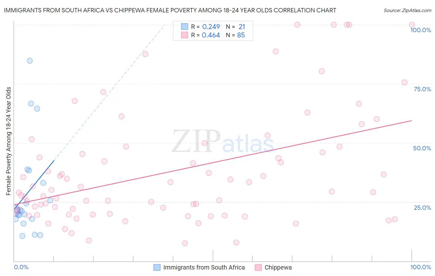 Immigrants from South Africa vs Chippewa Female Poverty Among 18-24 Year Olds