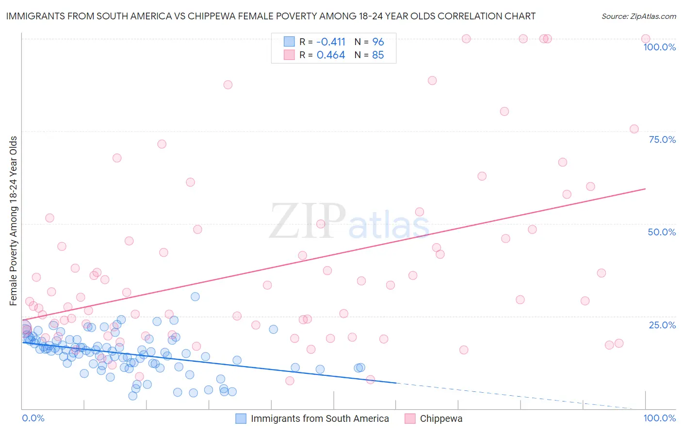 Immigrants from South America vs Chippewa Female Poverty Among 18-24 Year Olds