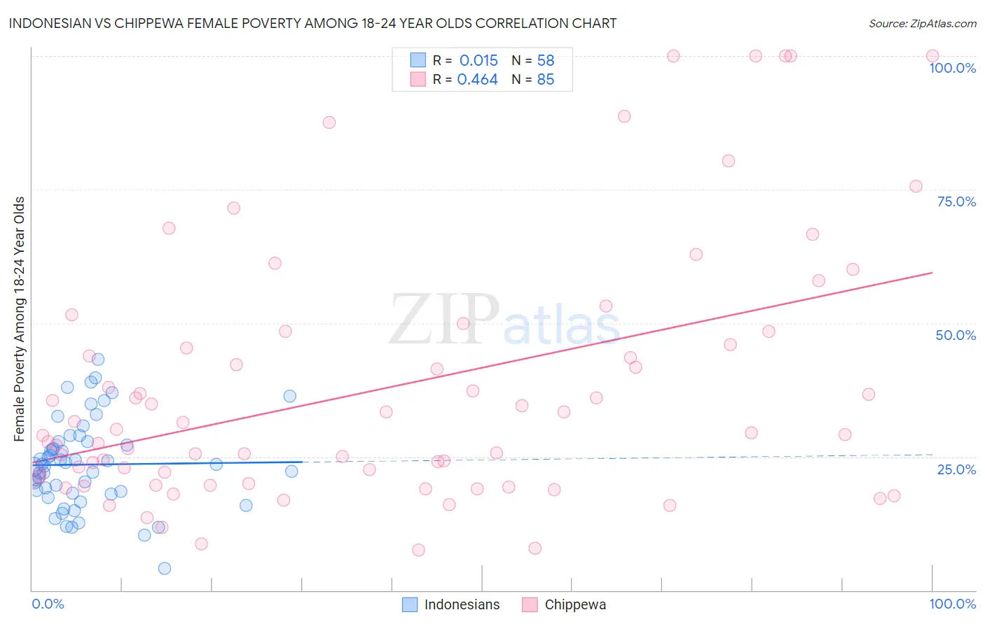 Indonesian vs Chippewa Female Poverty Among 18-24 Year Olds