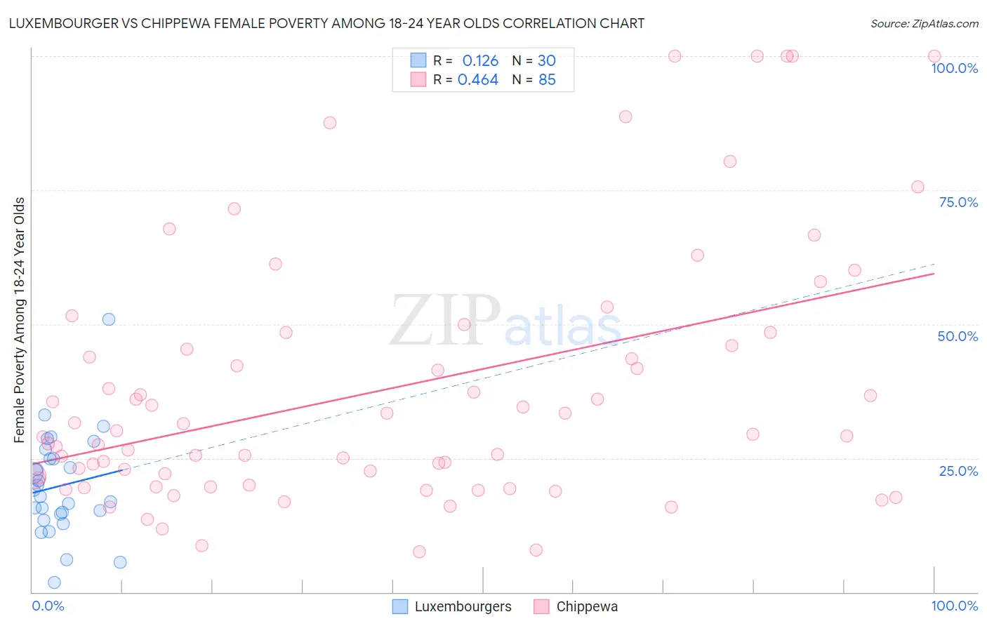 Luxembourger vs Chippewa Female Poverty Among 18-24 Year Olds