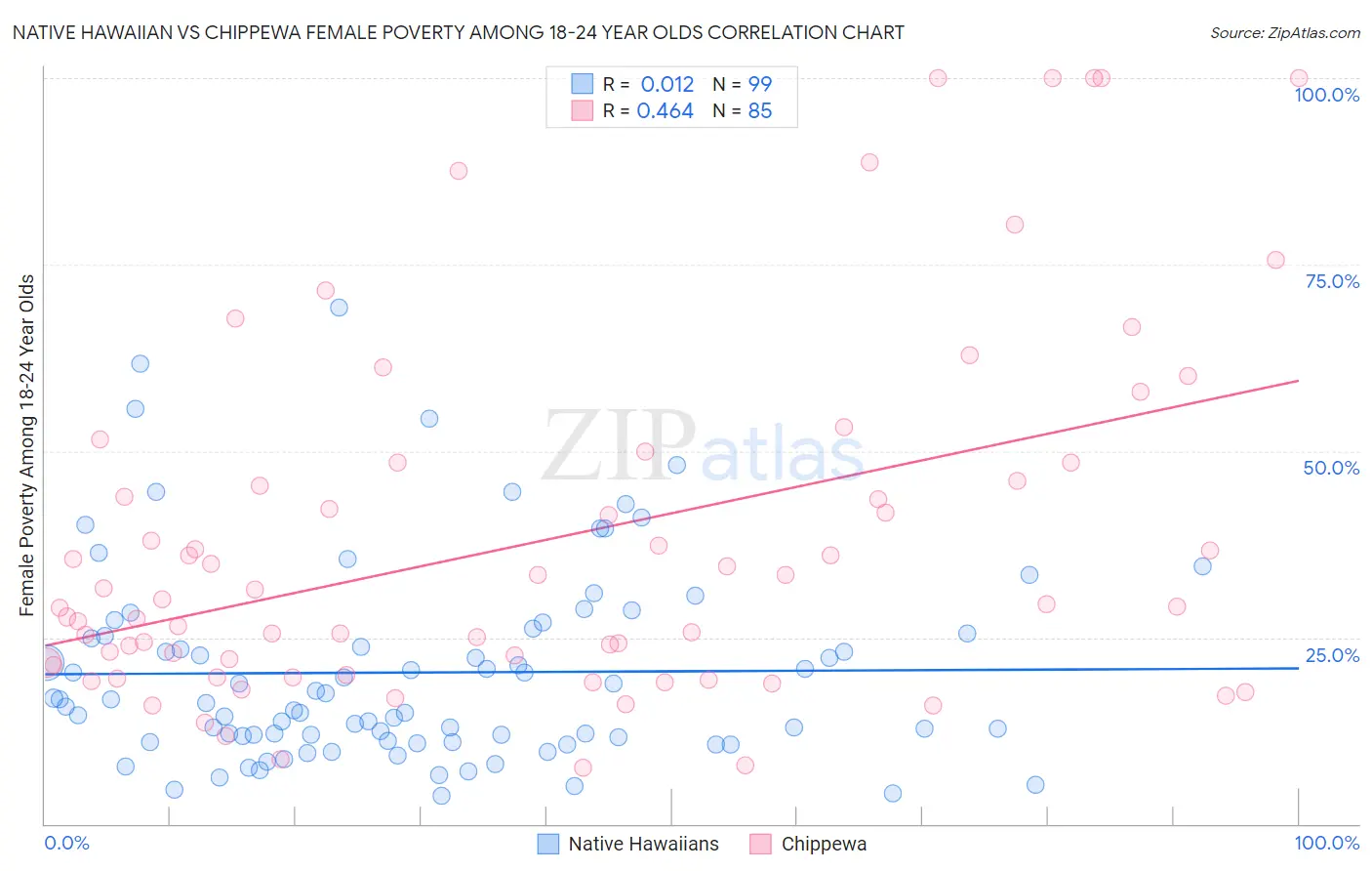 Native Hawaiian vs Chippewa Female Poverty Among 18-24 Year Olds