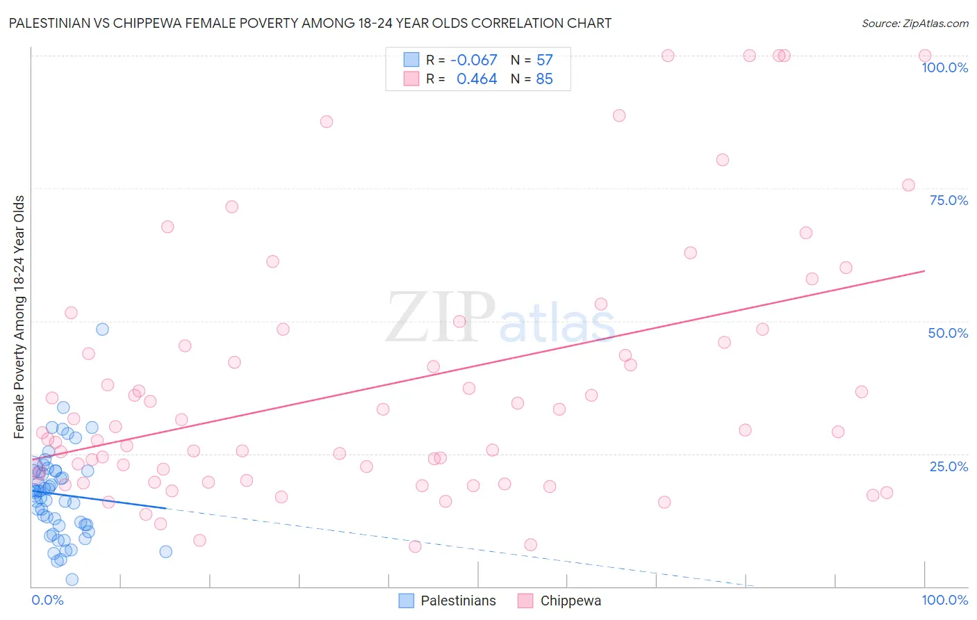 Palestinian vs Chippewa Female Poverty Among 18-24 Year Olds