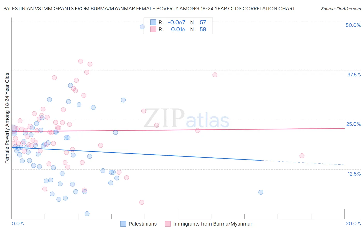 Palestinian vs Immigrants from Burma/Myanmar Female Poverty Among 18-24 Year Olds