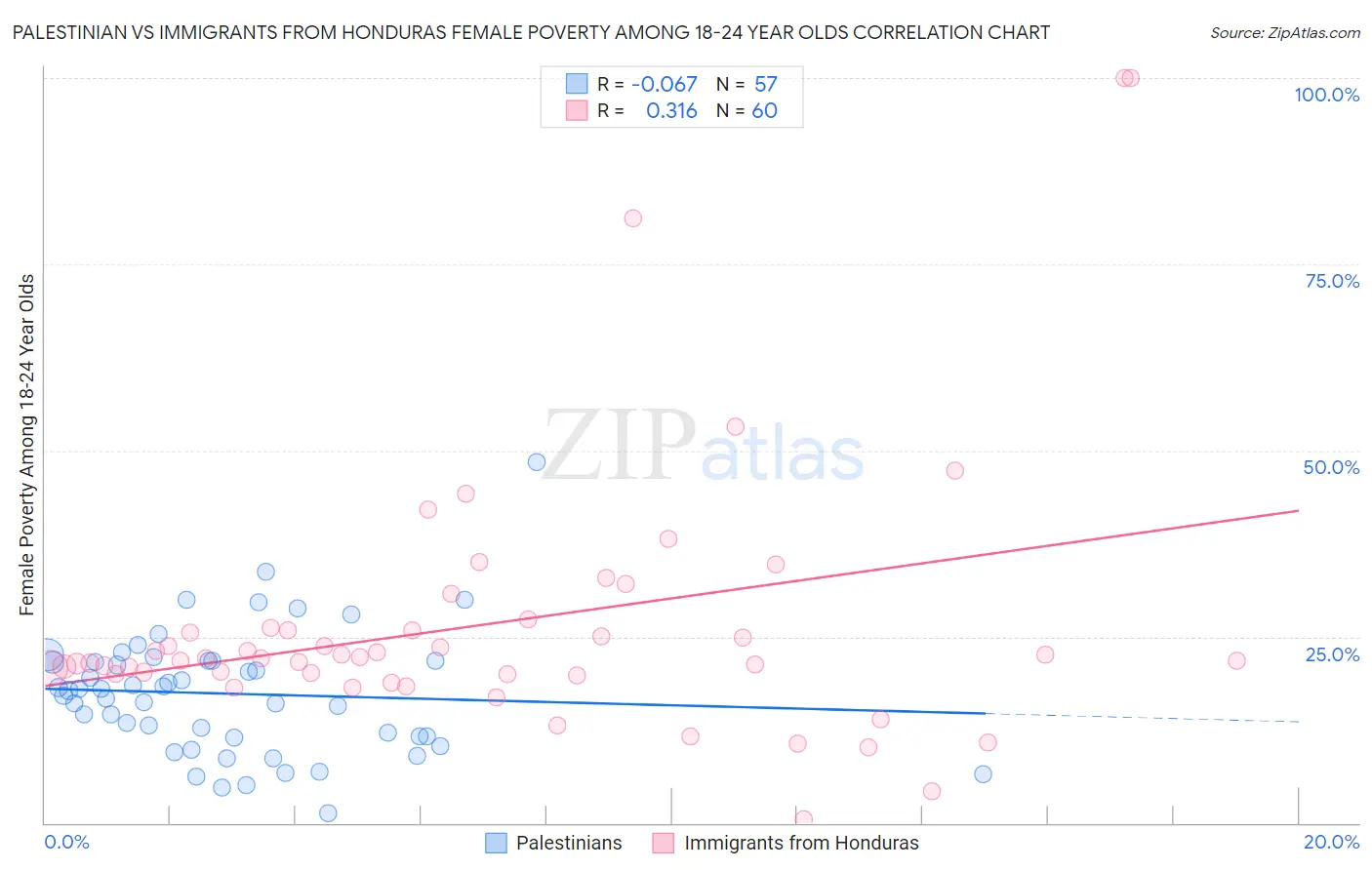 Palestinian vs Immigrants from Honduras Female Poverty Among 18-24 Year Olds