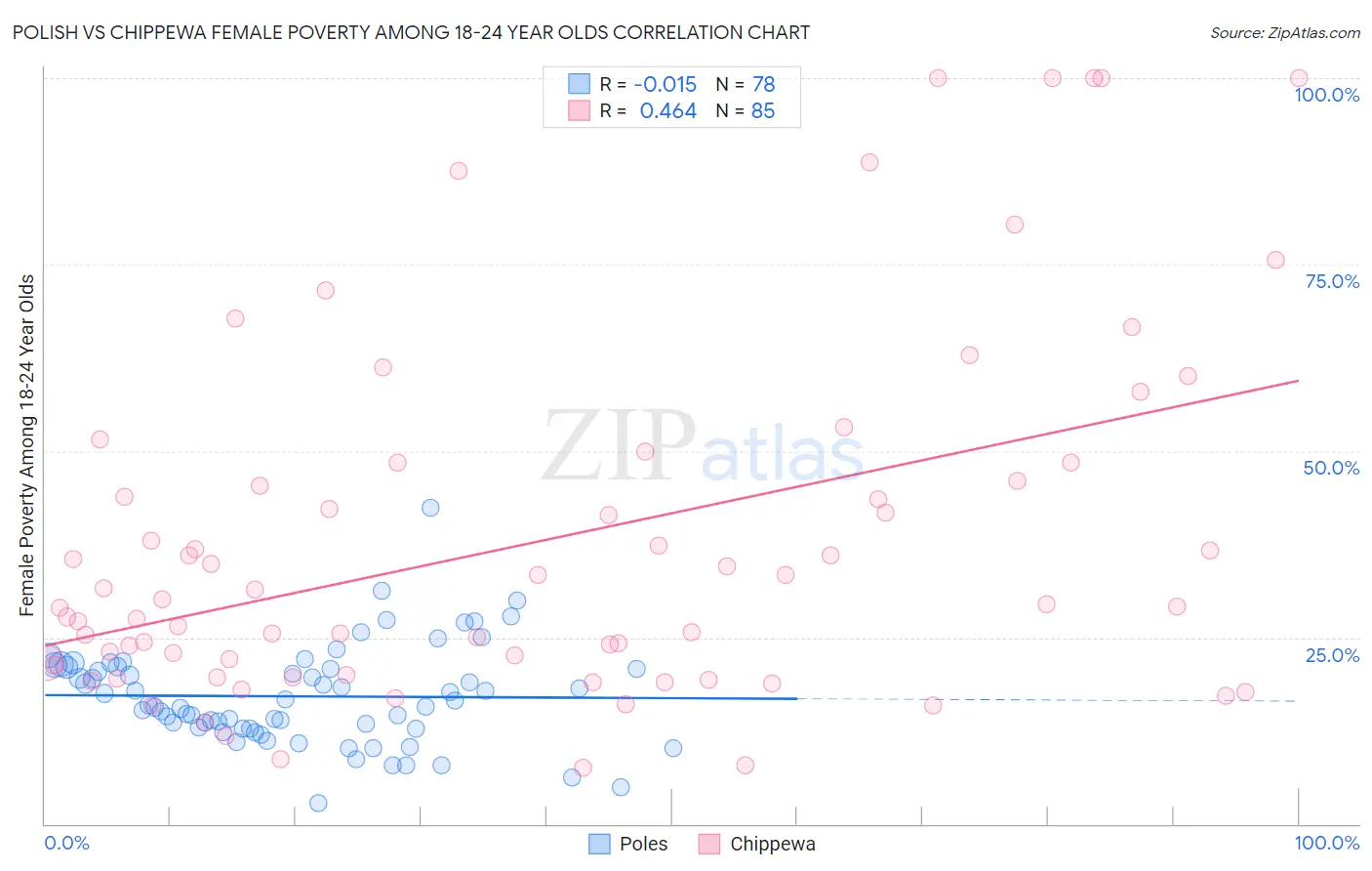 Polish vs Chippewa Female Poverty Among 18-24 Year Olds