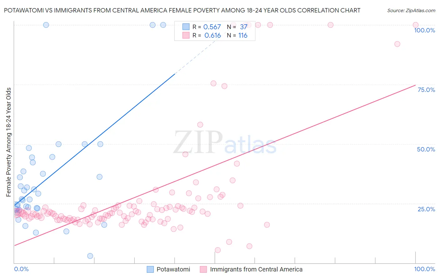 Potawatomi vs Immigrants from Central America Female Poverty Among 18-24 Year Olds