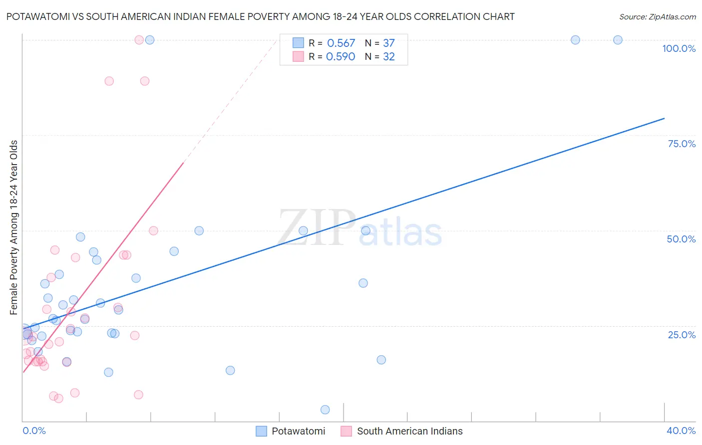 Potawatomi vs South American Indian Female Poverty Among 18-24 Year Olds