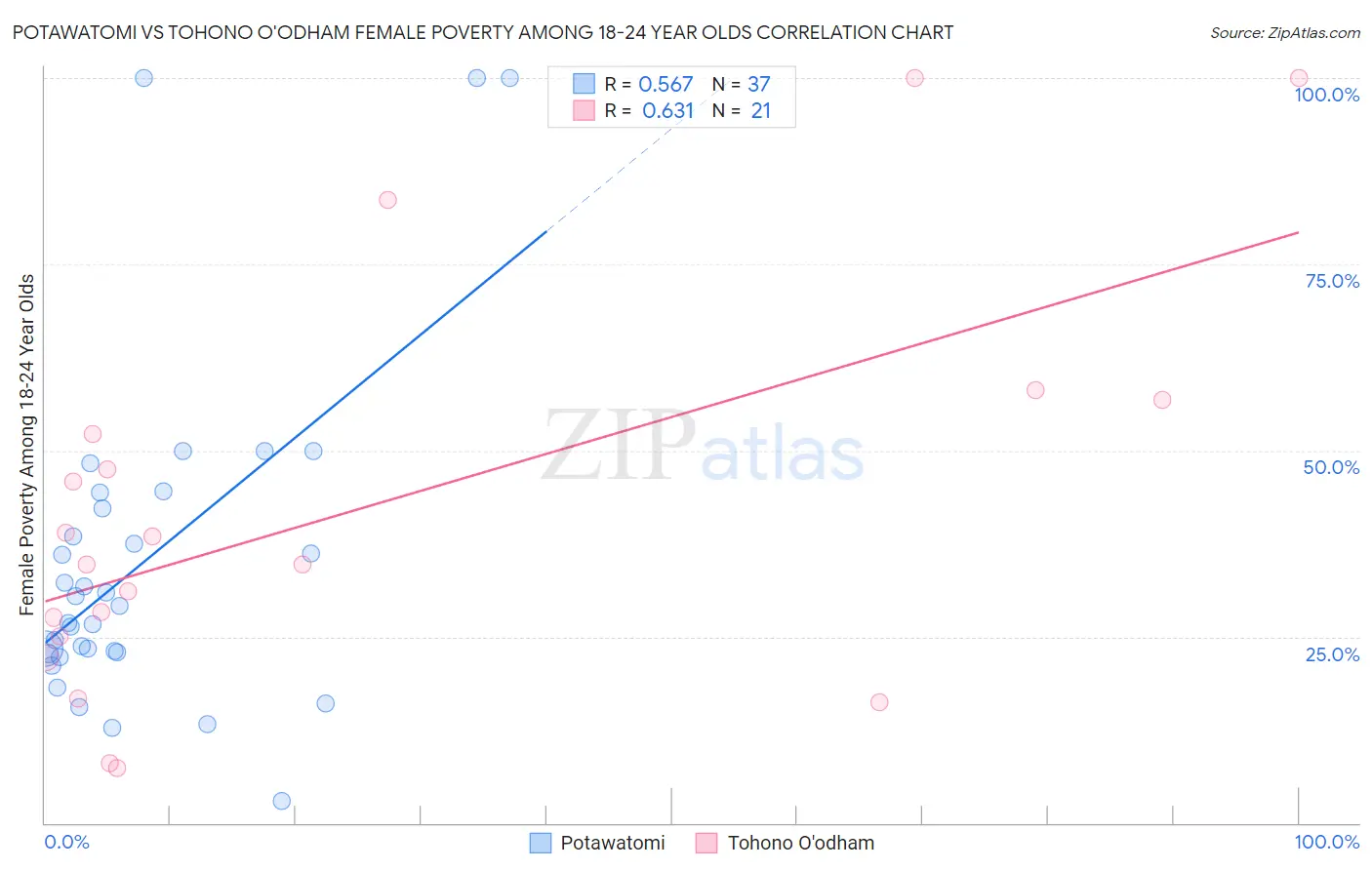 Potawatomi vs Tohono O'odham Female Poverty Among 18-24 Year Olds