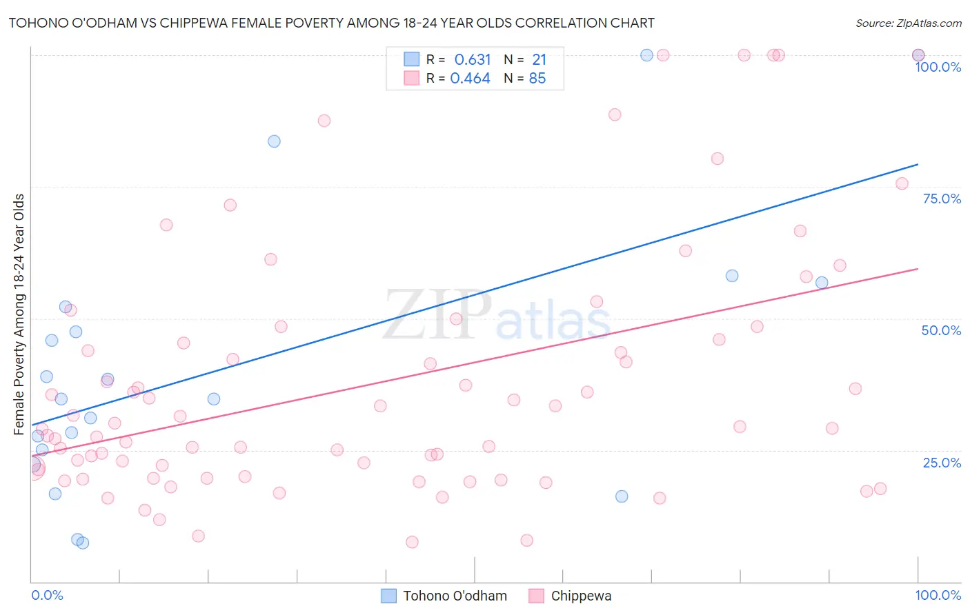 Tohono O'odham vs Chippewa Female Poverty Among 18-24 Year Olds