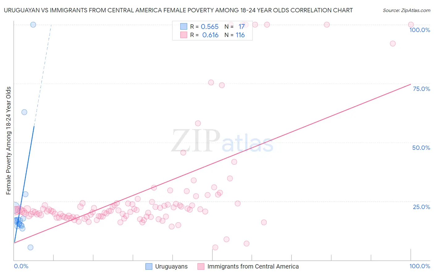 Uruguayan vs Immigrants from Central America Female Poverty Among 18-24 Year Olds