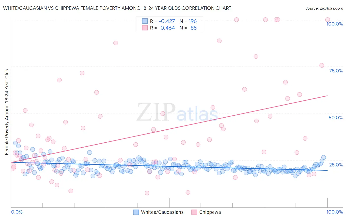 White/Caucasian vs Chippewa Female Poverty Among 18-24 Year Olds