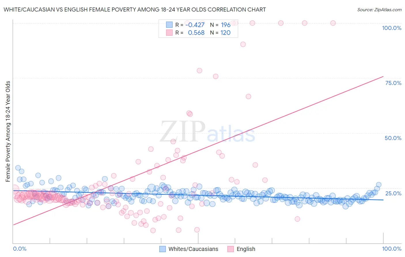 White/Caucasian vs English Female Poverty Among 18-24 Year Olds