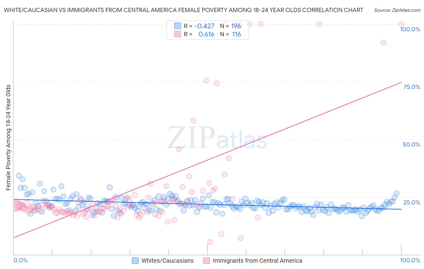 White/Caucasian vs Immigrants from Central America Female Poverty Among 18-24 Year Olds