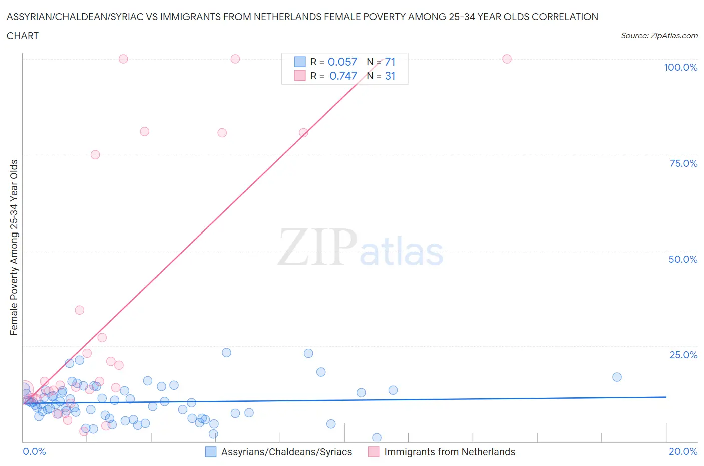 Assyrian/Chaldean/Syriac vs Immigrants from Netherlands Female Poverty Among 25-34 Year Olds