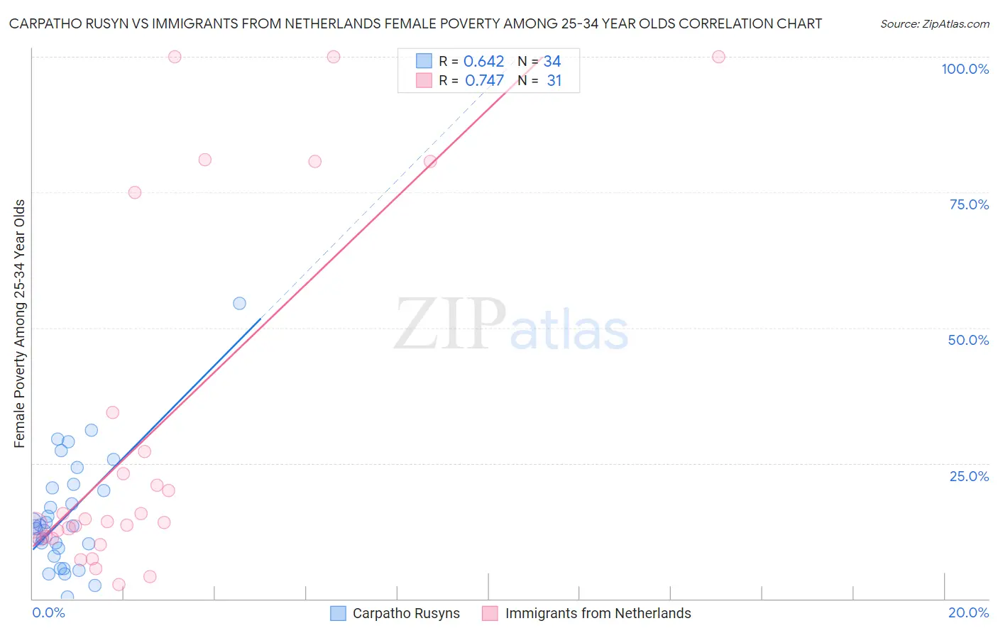 Carpatho Rusyn vs Immigrants from Netherlands Female Poverty Among 25-34 Year Olds