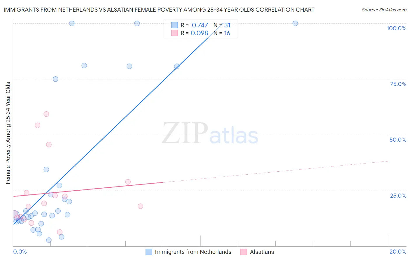 Immigrants from Netherlands vs Alsatian Female Poverty Among 25-34 Year Olds
