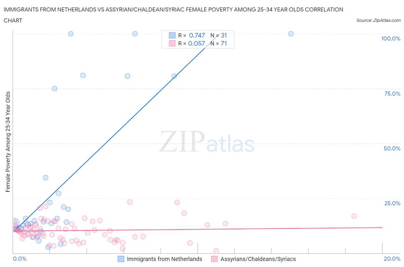 Immigrants from Netherlands vs Assyrian/Chaldean/Syriac Female Poverty Among 25-34 Year Olds