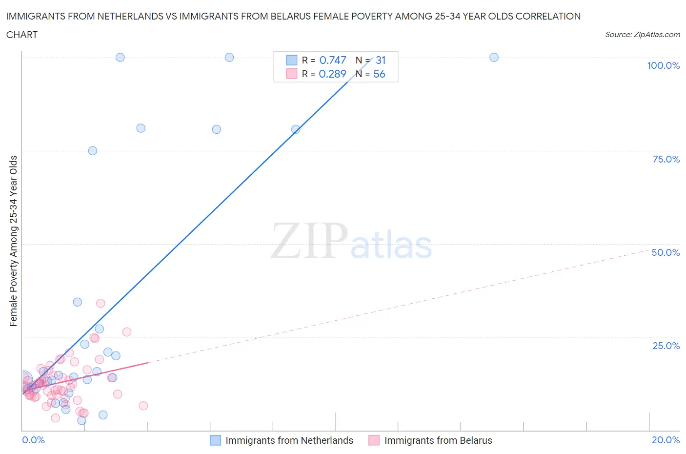 Immigrants from Netherlands vs Immigrants from Belarus Female Poverty Among 25-34 Year Olds