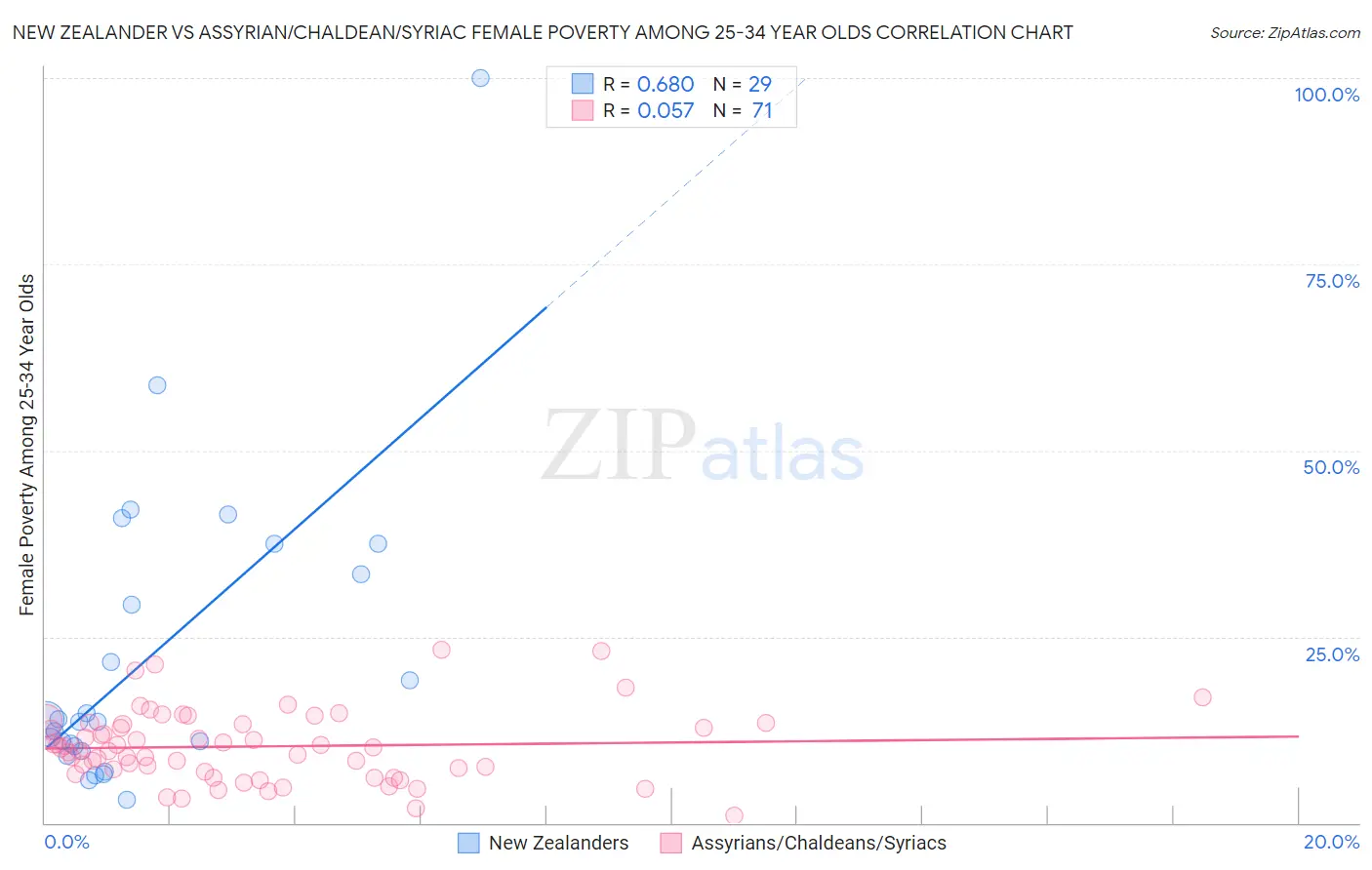 New Zealander vs Assyrian/Chaldean/Syriac Female Poverty Among 25-34 Year Olds