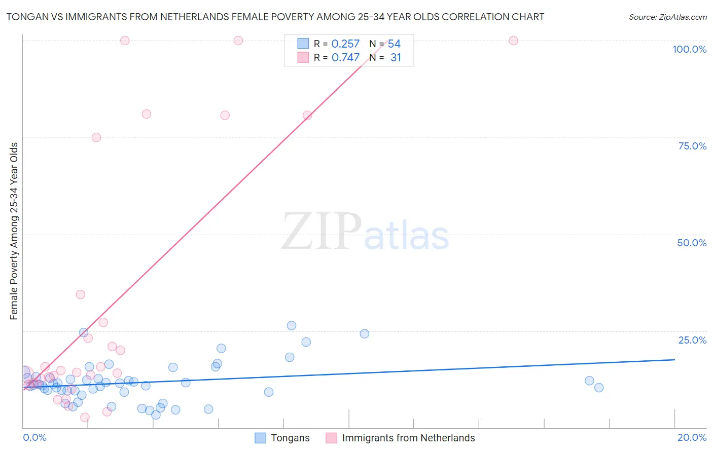 Tongan vs Immigrants from Netherlands Female Poverty Among 25-34 Year Olds