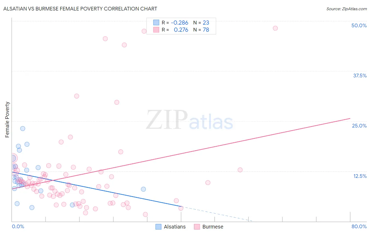 Alsatian vs Burmese Female Poverty