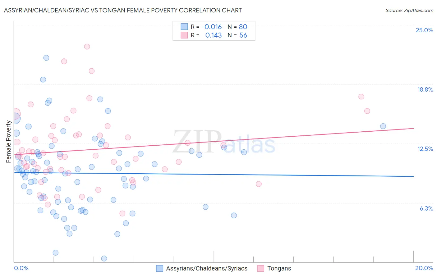 Assyrian/Chaldean/Syriac vs Tongan Female Poverty