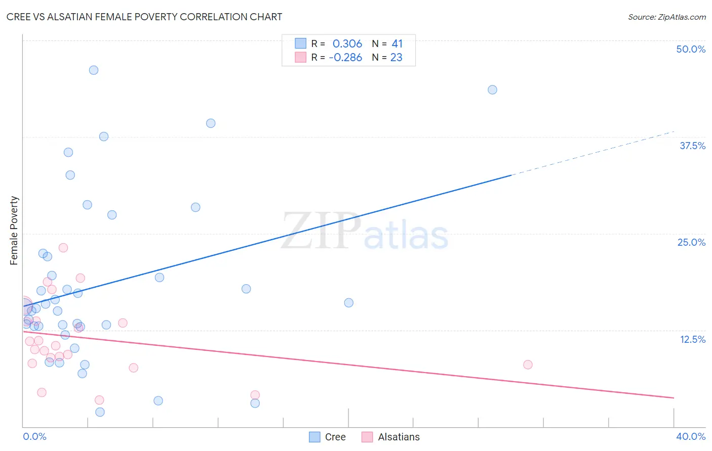 Cree vs Alsatian Female Poverty