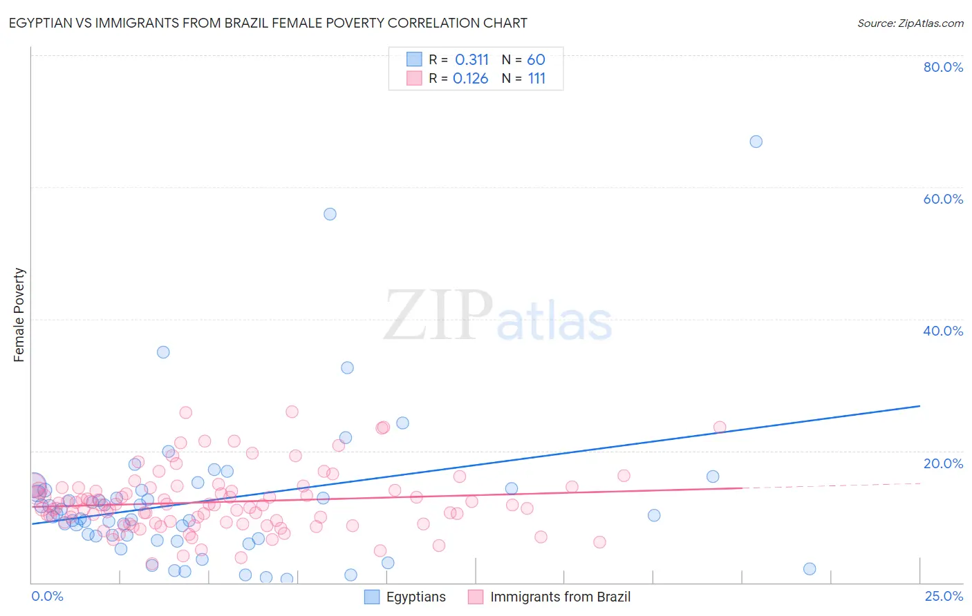 Egyptian vs Immigrants from Brazil Female Poverty