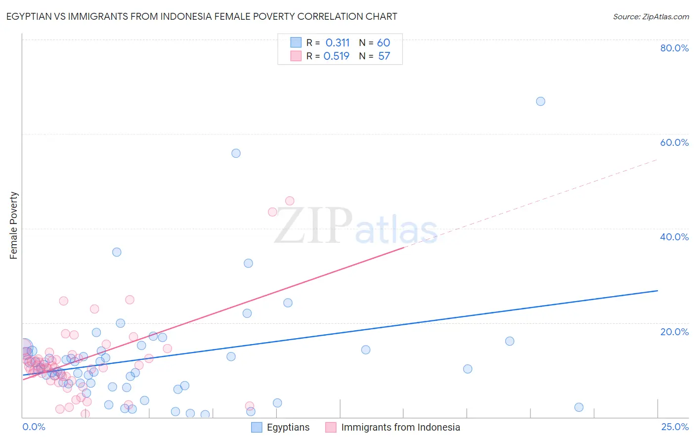 Egyptian vs Immigrants from Indonesia Female Poverty