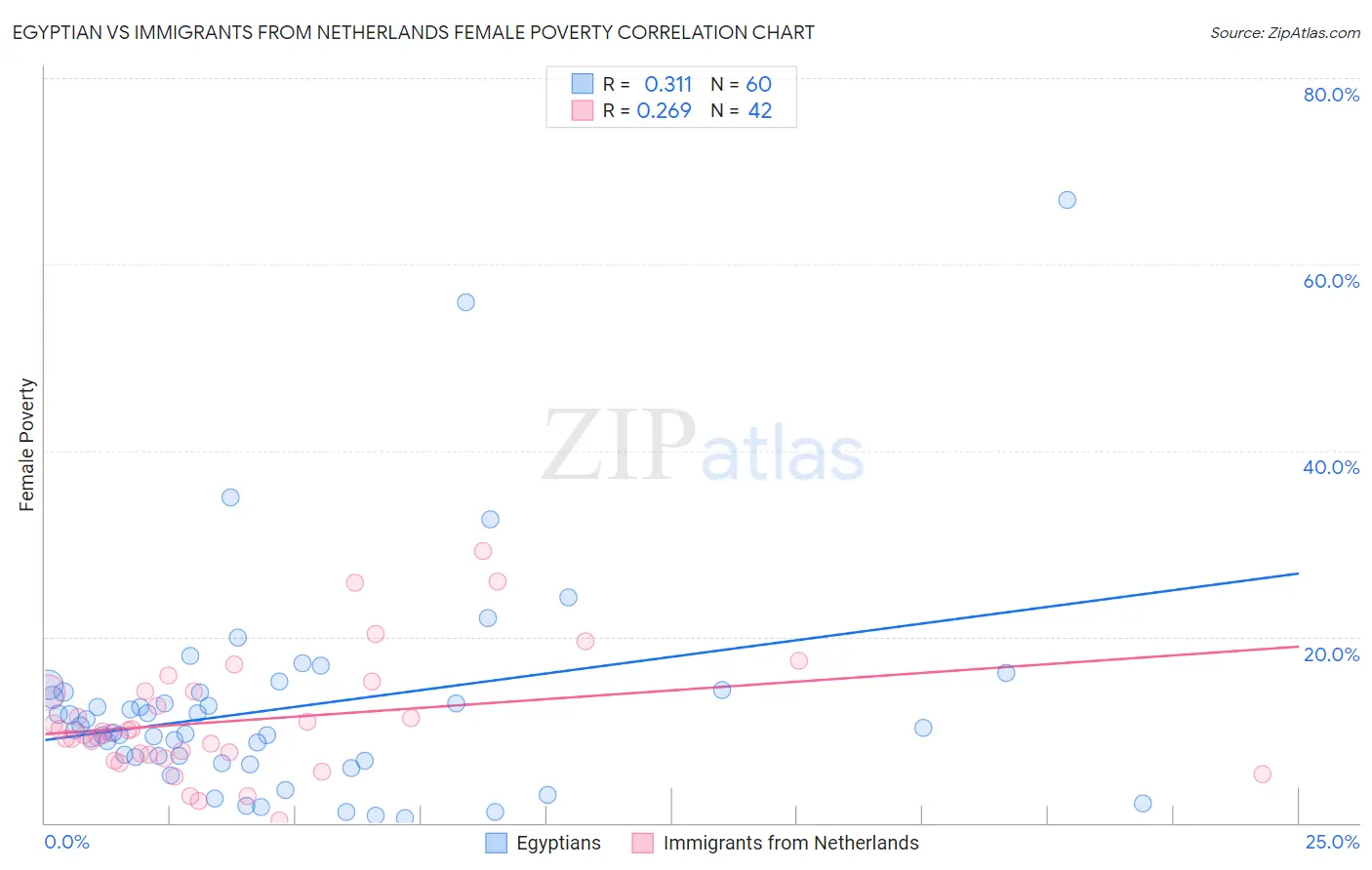 Egyptian vs Immigrants from Netherlands Female Poverty