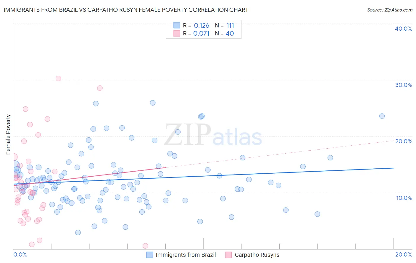 Immigrants from Brazil vs Carpatho Rusyn Female Poverty