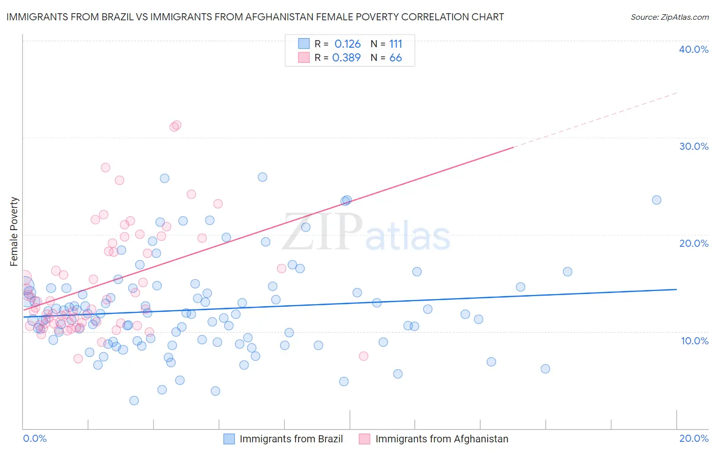 Immigrants from Brazil vs Immigrants from Afghanistan Female Poverty