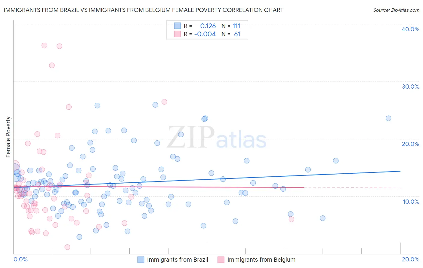 Immigrants from Brazil vs Immigrants from Belgium Female Poverty