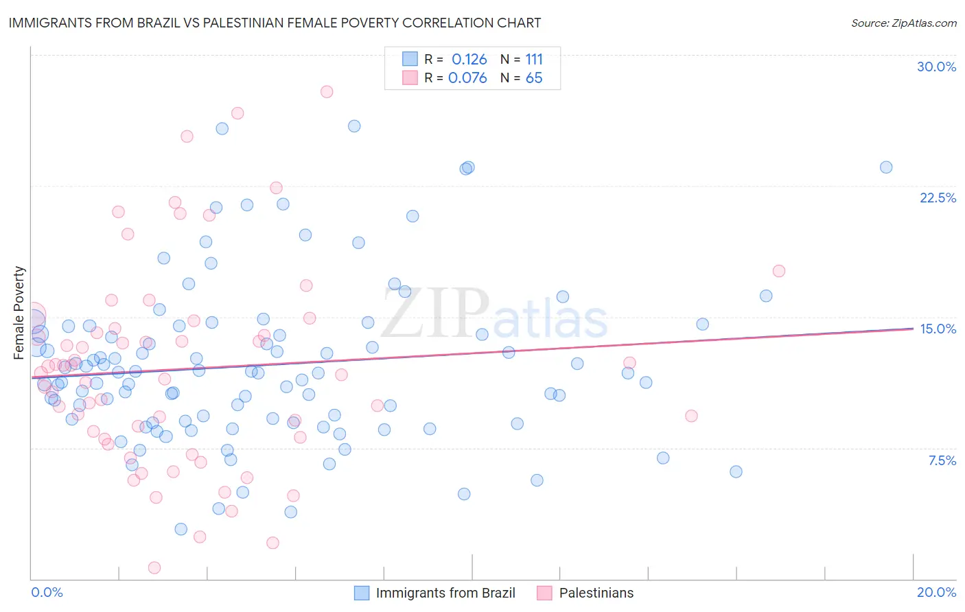 Immigrants from Brazil vs Palestinian Female Poverty