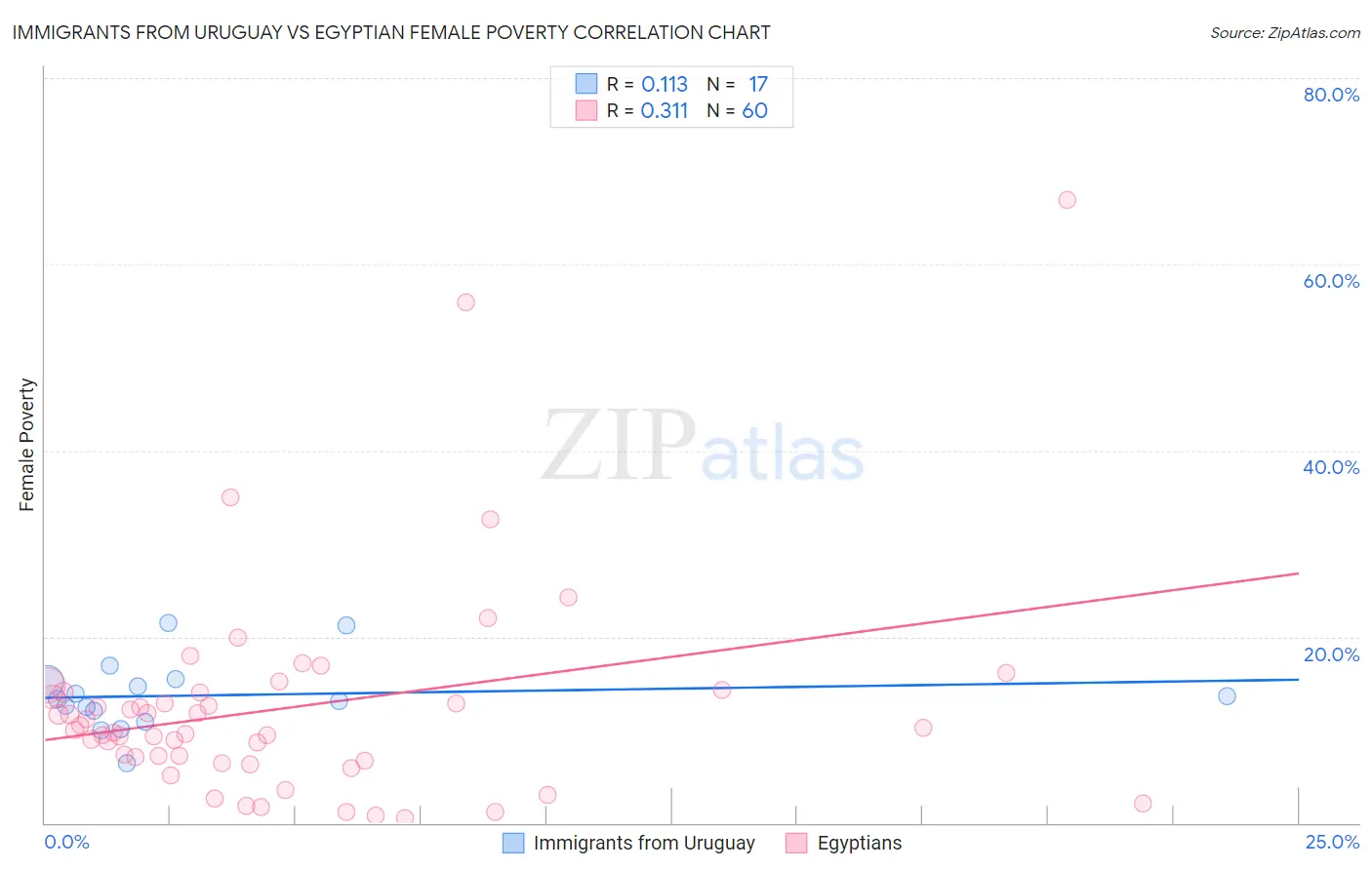 Immigrants from Uruguay vs Egyptian Female Poverty