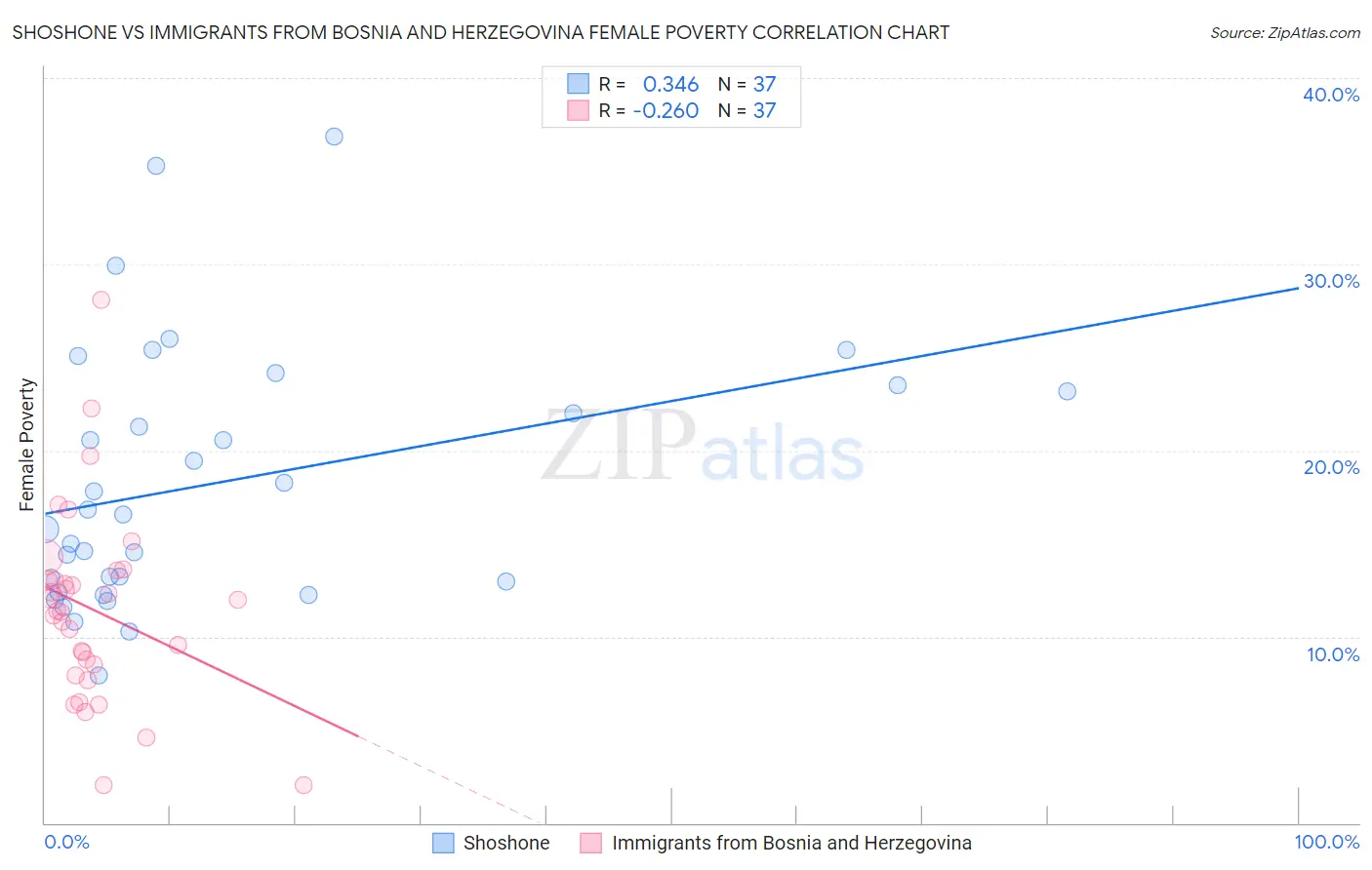 Shoshone vs Immigrants from Bosnia and Herzegovina Female Poverty
