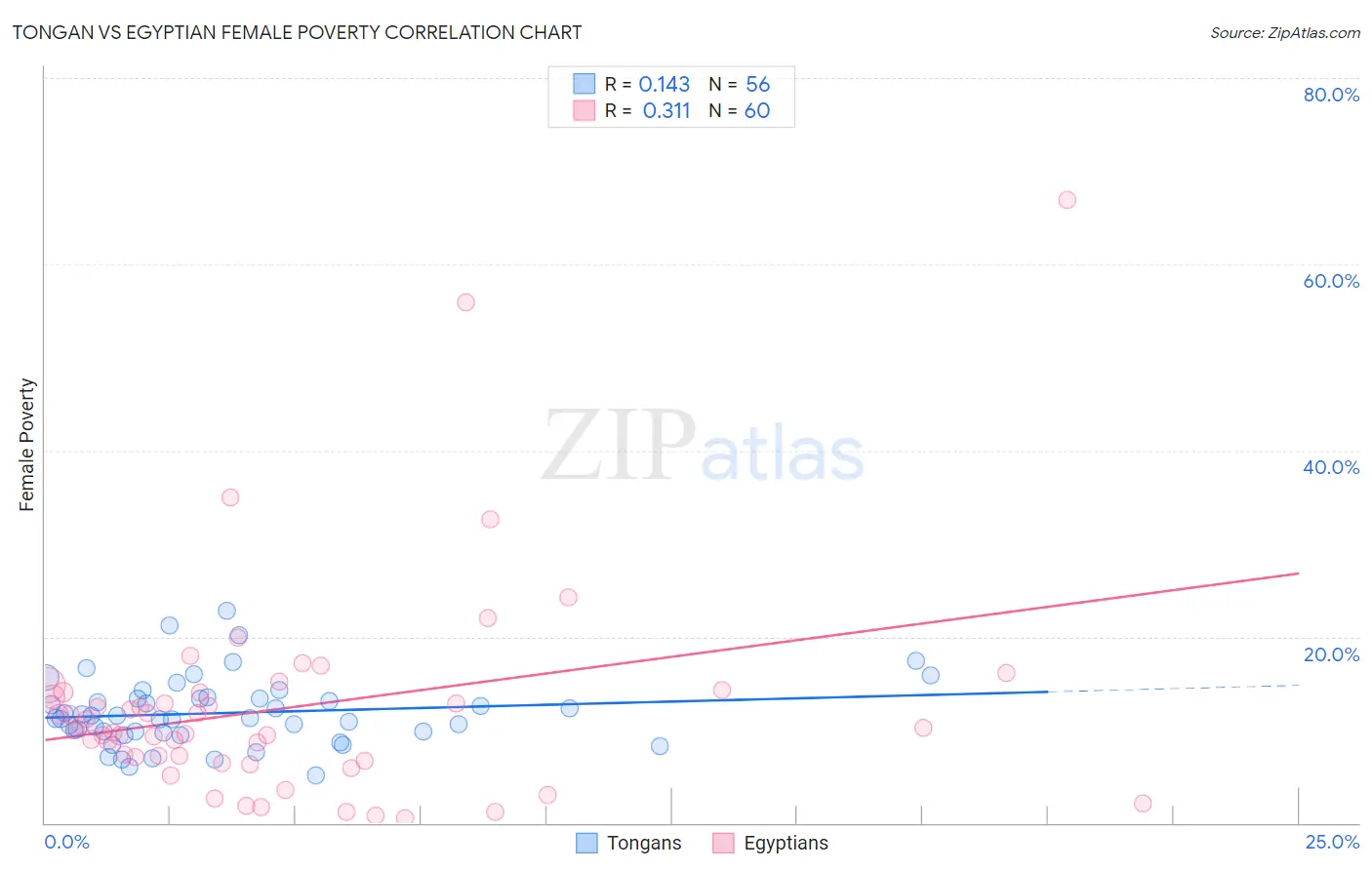 Tongan vs Egyptian Female Poverty