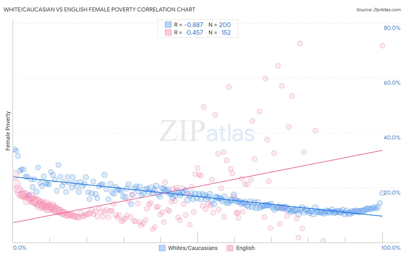 White/Caucasian vs English Female Poverty