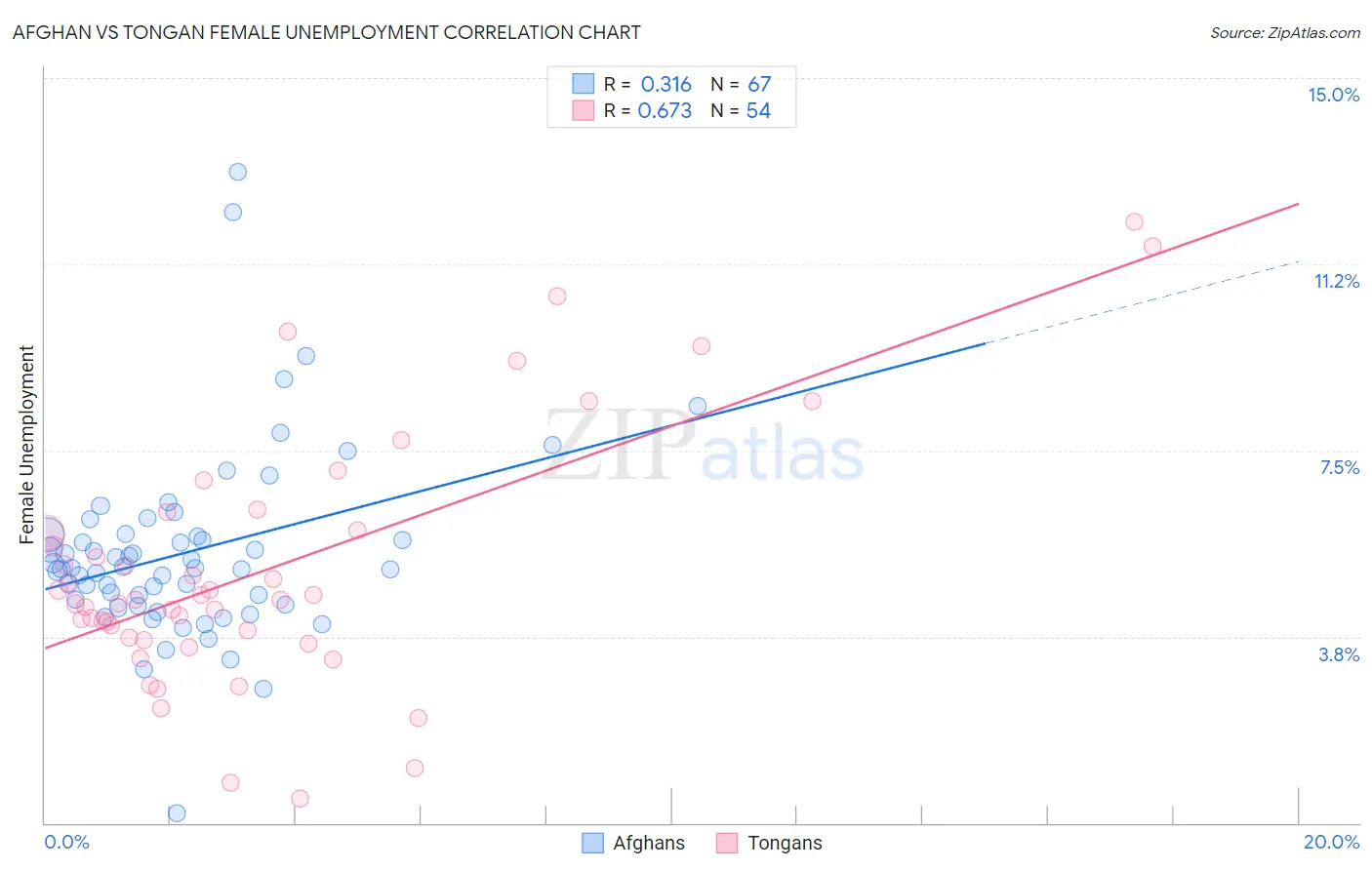 Afghan vs Tongan Female Unemployment