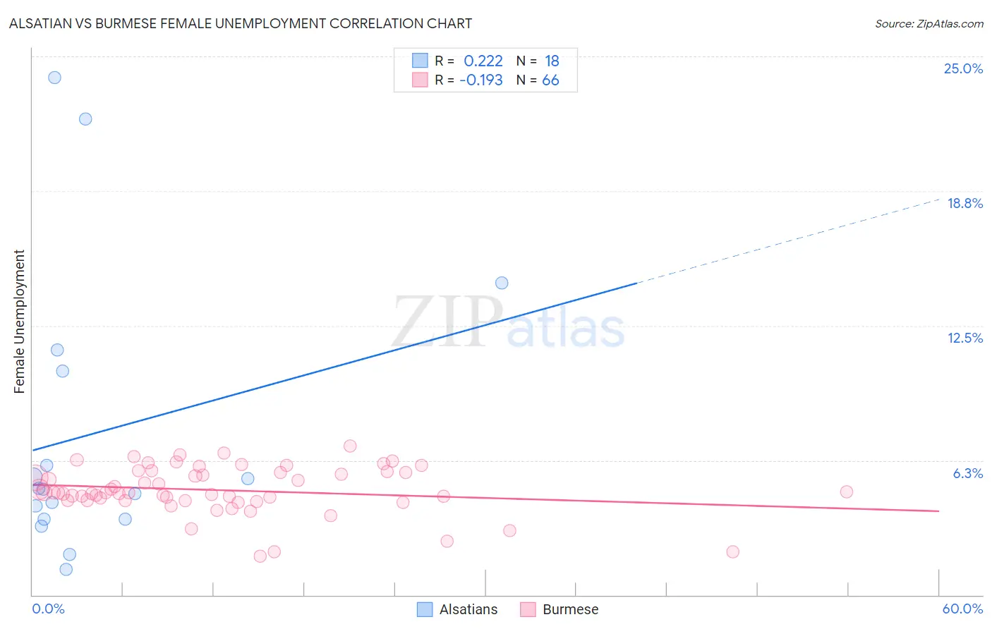 Alsatian vs Burmese Female Unemployment