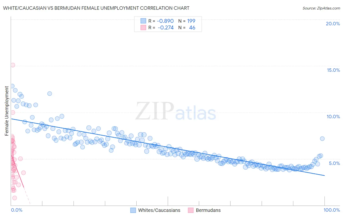 White/Caucasian vs Bermudan Female Unemployment