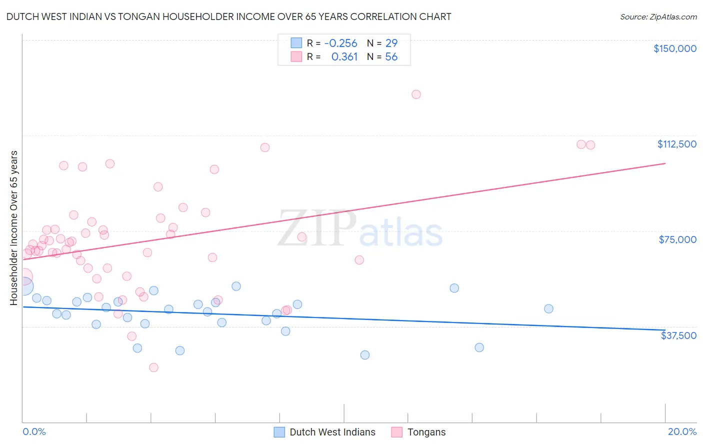 Dutch West Indian vs Tongan Householder Income Over 65 years