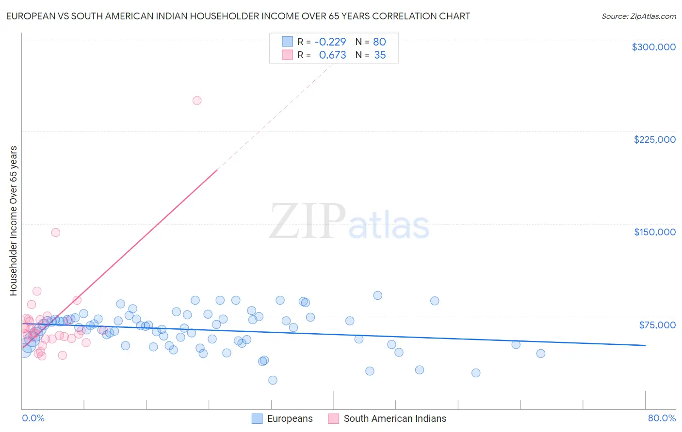 European vs South American Indian Householder Income Over 65 years