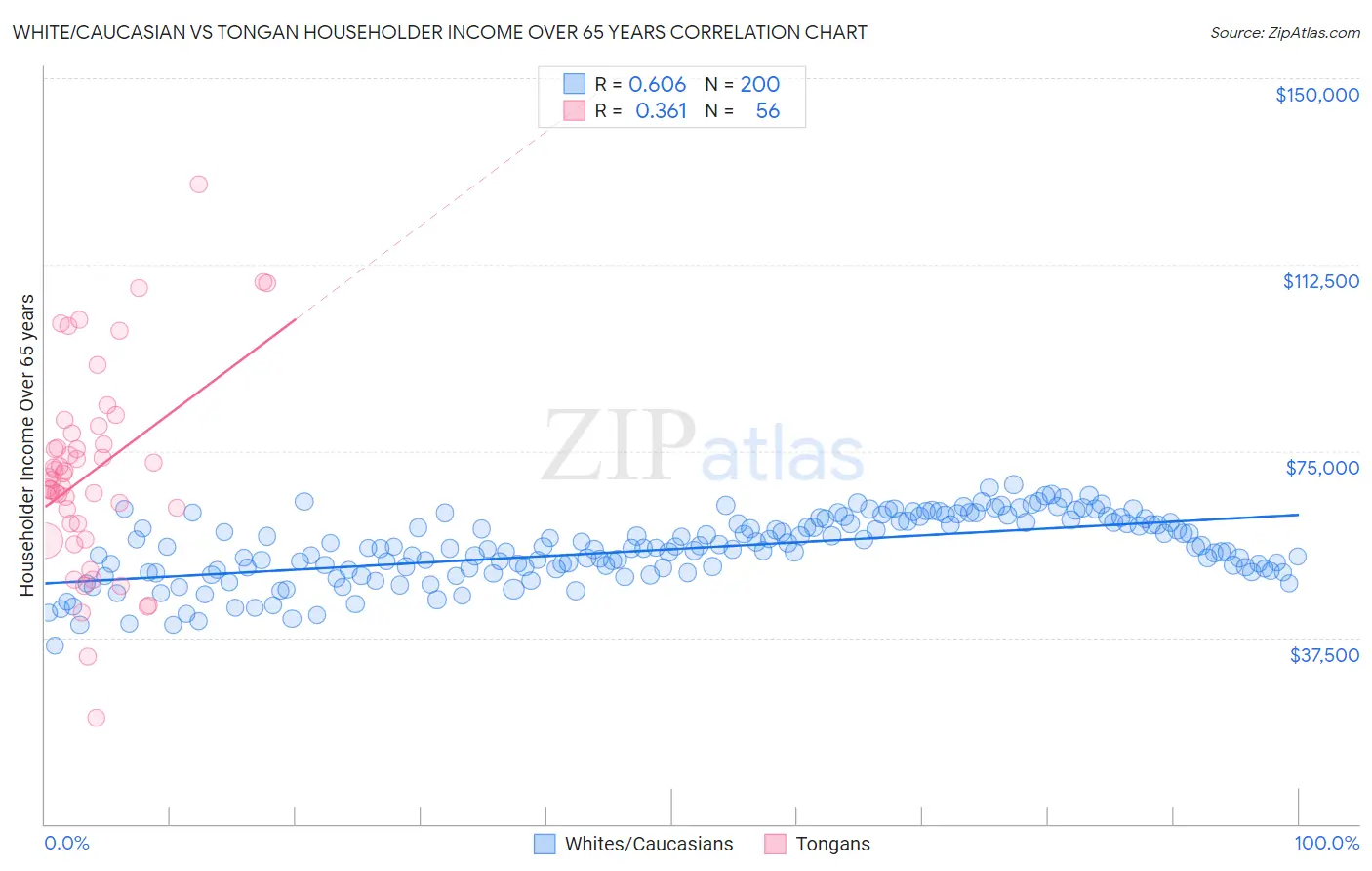 White/Caucasian vs Tongan Householder Income Over 65 years