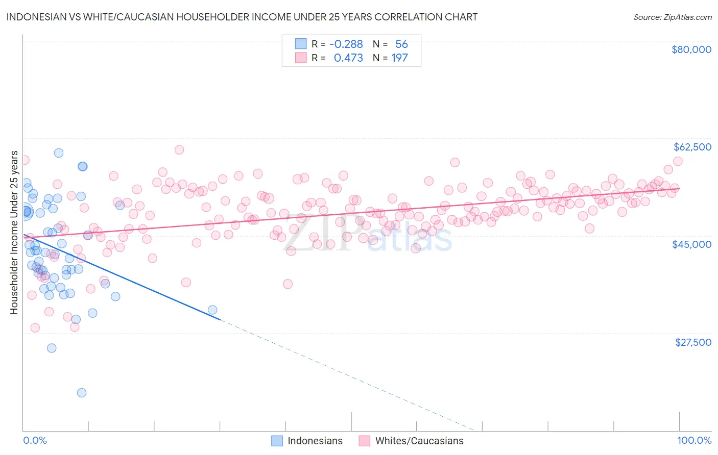 Indonesian vs White/Caucasian Householder Income Under 25 years