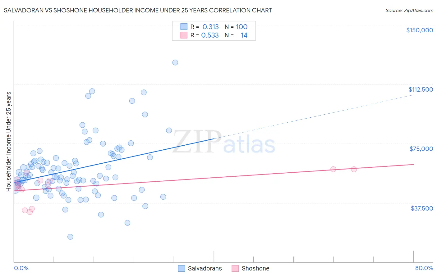 Salvadoran vs Shoshone Householder Income Under 25 years